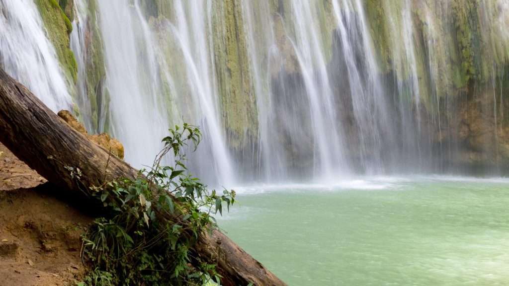 Sumérgete en la experiencia completa definitiva de la cascada Damajagua con NCL